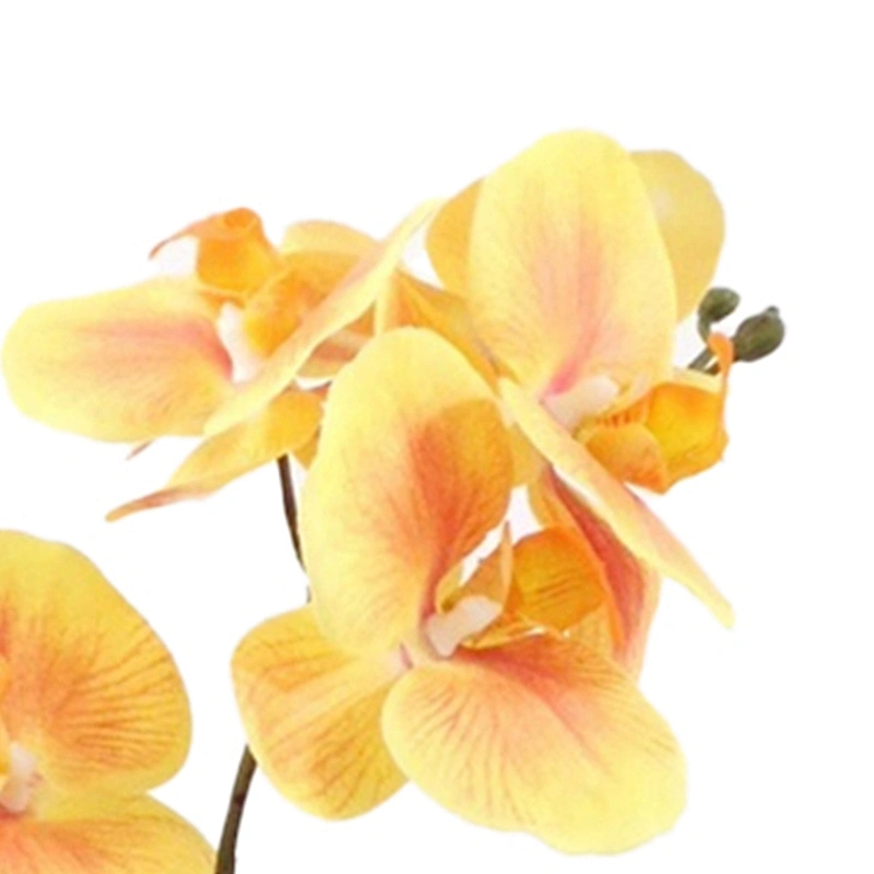 Office Wedding Decoration Artificial Orchid Flower Real Touch Latex Artificial Orchid Flower For Home
