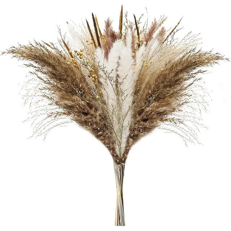 30pcs Dried Flowers Nature Bouquet Pampas Grass Flowers Wedding Decoration Artificielles Home Decor Artificial Flowers
