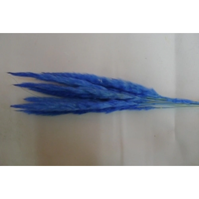 wholesale colourful real touch artificial flower large faux pampas grass wedding flower decoration