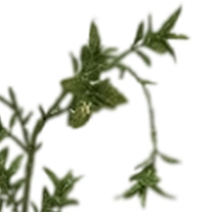 The Latest Fashion Hand Wrapped Floral 109.22cm Green Flowers Leaves Artificial Flowers For Sale