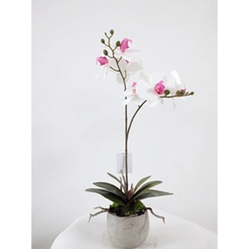 wholesale home indoor decoration wedding artificial orchid flowers 3D printing orchid decoration artificial orchid plant