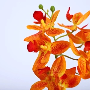 Factory Direct Sale Silk Orchid Assortment Artificial Garden Decor Real Touch Flower Phalaenopsis