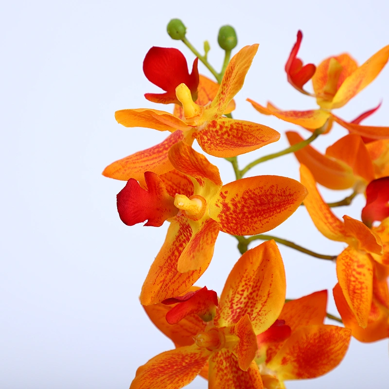 Factory Direct Sale Silk Orchid Assortment Artificial Garden Decor Real Touch Flower Phalaenopsis