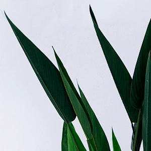 hot sale beautiful artificial strelitzia decoration indoor display artificial strelitzia plant