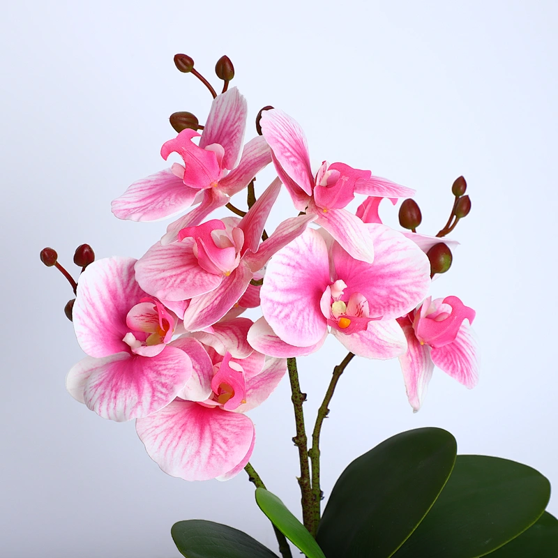 High quality real touch artificial orchid pot flowers wedding party home decoration artificial orchids flowers