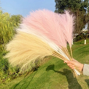 45cm Reed 10Pcs Dried Flower Natural Pampas Grass Black Christmas Decoration Phragmites Wedding Home Decor