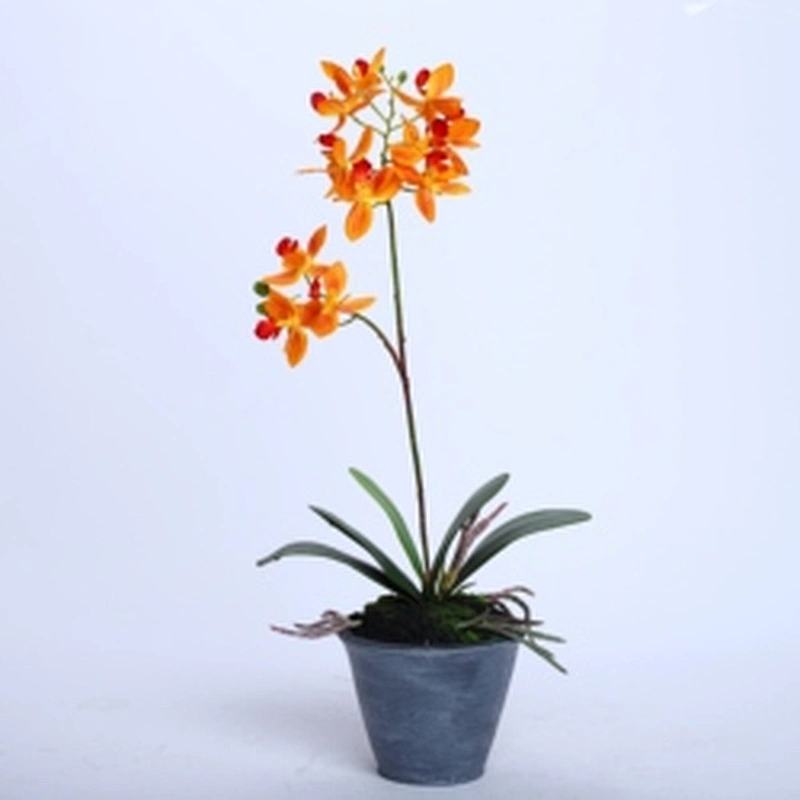 Factory Direct Sale Silk Orchid Assortment Artificial Garden Decor Real Touch Flower Phalaenopsis