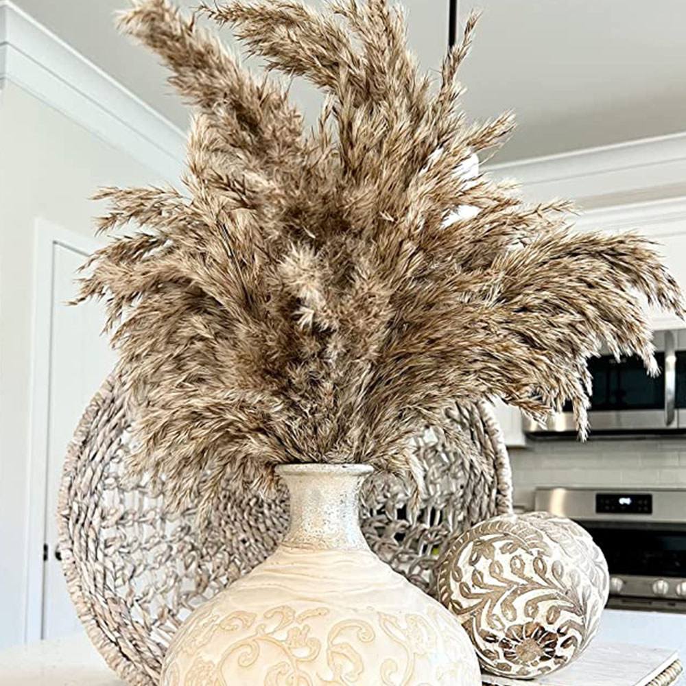 High quality Flowers Pampas Grass Extra Fluffy Pampas Grass Pack Wedding party Decor