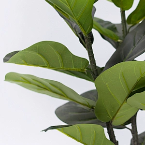 Hot wholesale Artificial Fiddle Leaf Fig Tree Plastic Plants Fiddle Tree For Shopping Mall Decoration