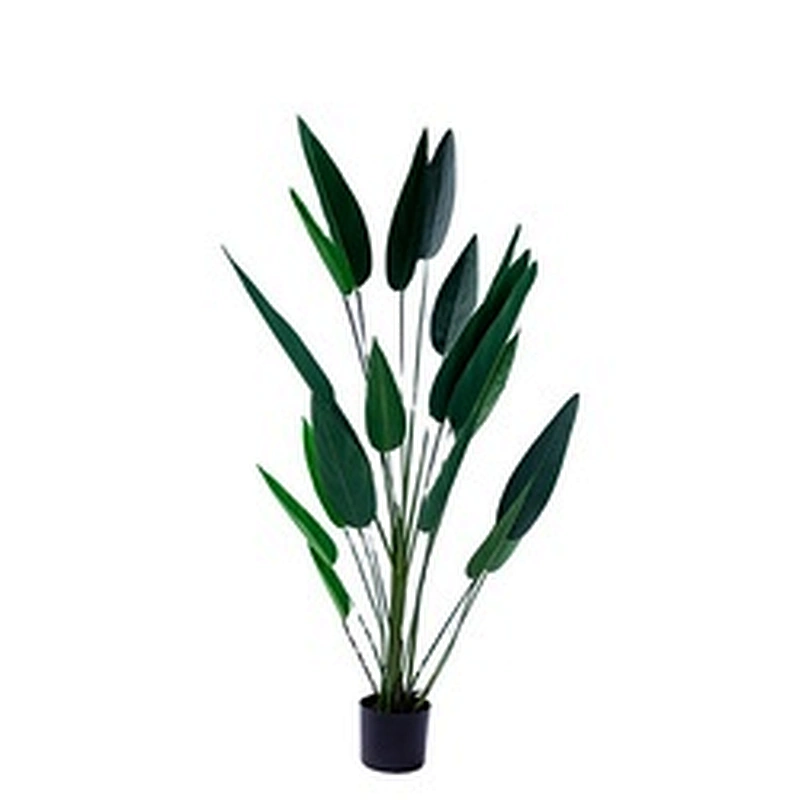 Hot sale and popular wholesale artificial  Strelitzia plant ornamental plants
