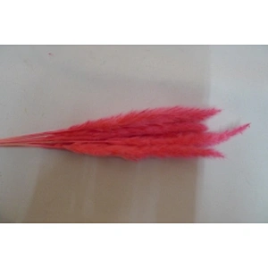 wholesale colourful real touch artificial flower large faux pampas grass wedding flower decoration
