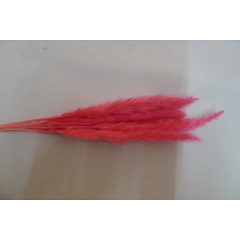 wholesale colourful real touch artificial flower large faux pampas grass wedding flower decoration