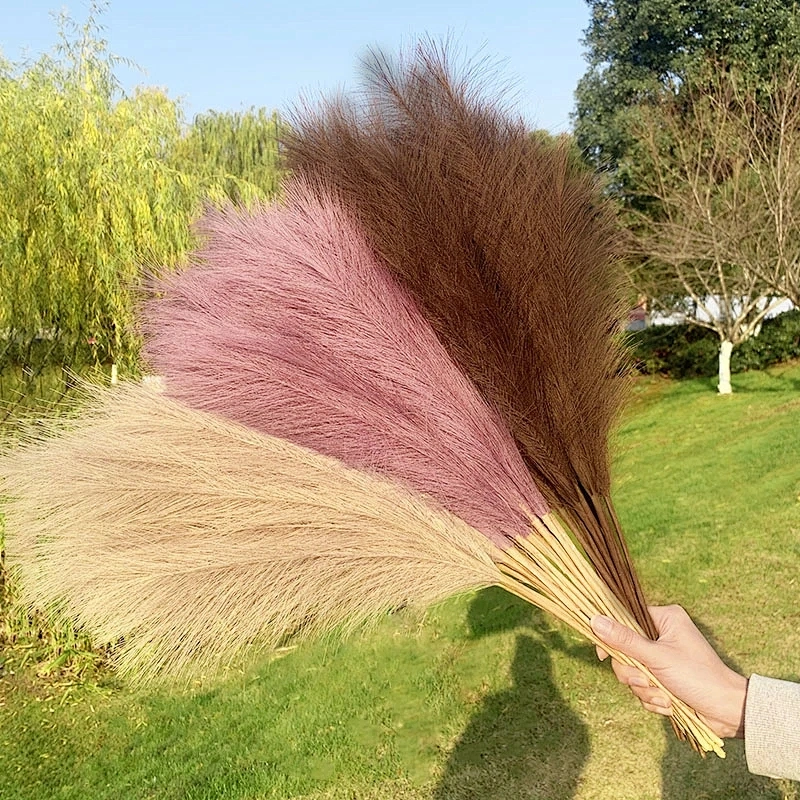 45cm Reed 10Pcs Dried Flower Natural Pampas Grass Black Christmas Decoration Phragmites Wedding Home Decor