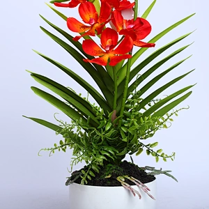 China Wedding Decor Orchid Assortment Artificial Flower Faux Water Orchid For Shop Supermarket Arrangement