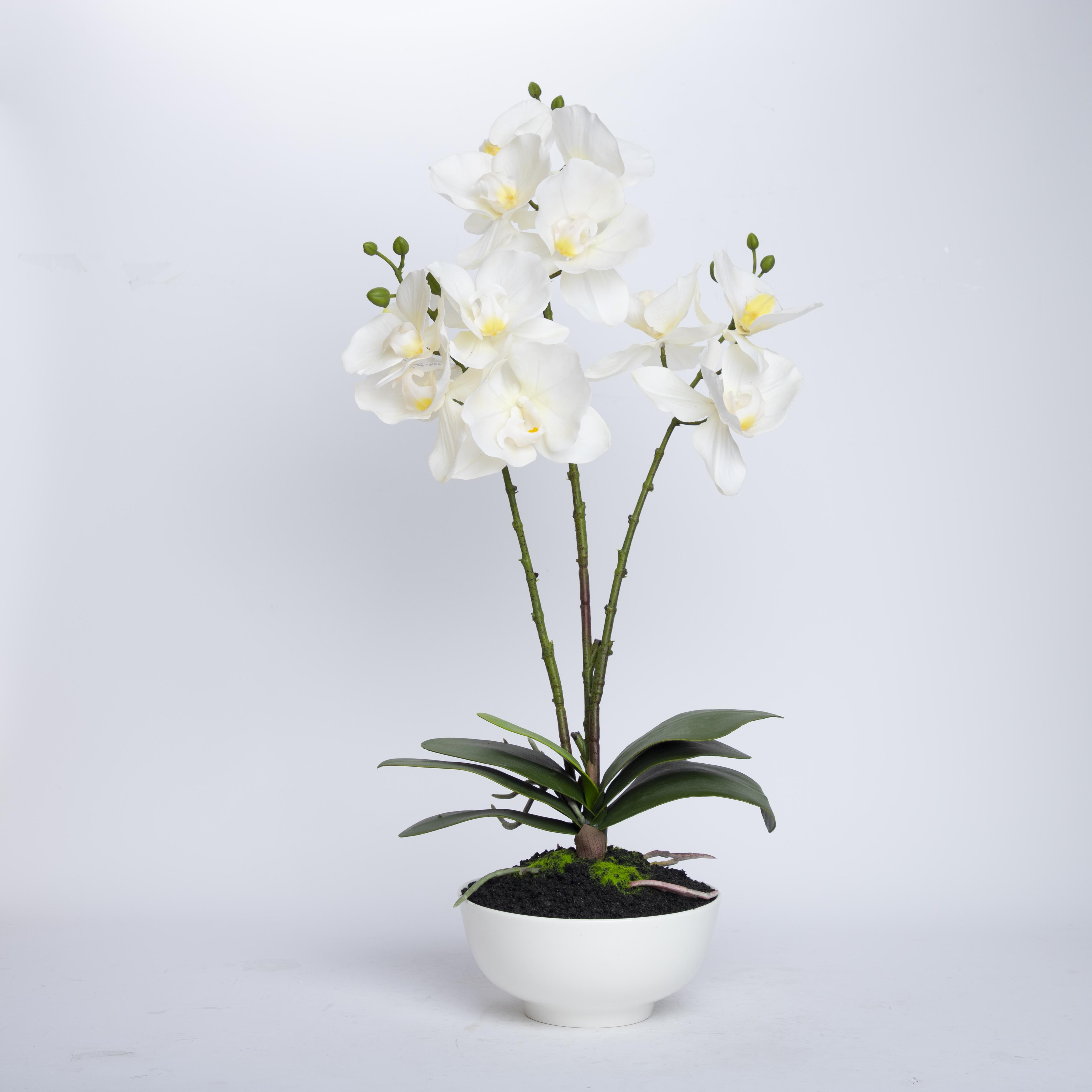Home Wedding Decor White Artificial Flowers Cymbidium Orchid Faux Water Butterfly Orchid