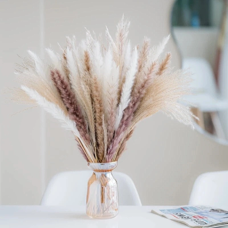 Natural Pampas Grass Large Size Dried Flower Bouquet Home Decor Tall Fluffy Stems Living Room Decor Wedding Backdrop