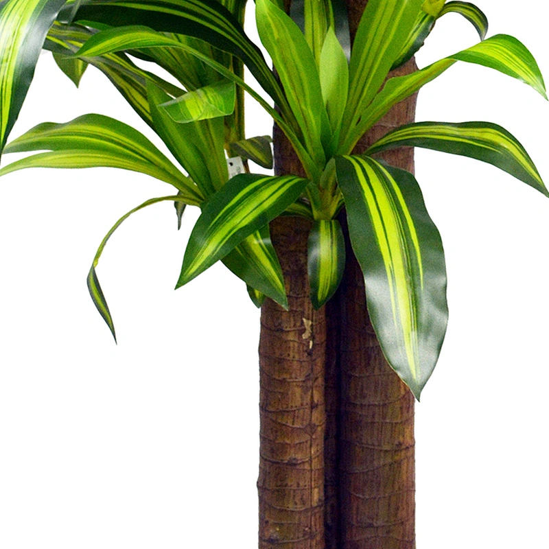 Houseplants Artificial Dracena Tree Vivid Business Office Outdoor Dracena Plants