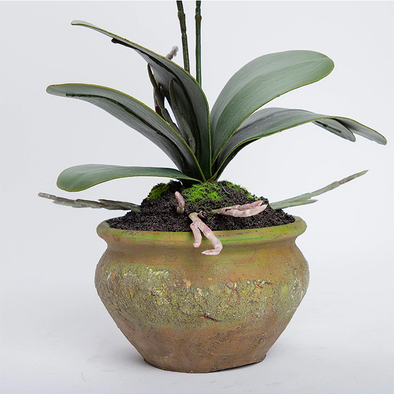 China Wholesale Real Touch Wedding Artificial Orchid Pot Assortment Cymbidium For Indoor Decoration