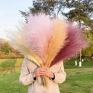 45cm Reed 10Pcs Dried Flower Natural Pampas Grass Black Christmas Decoration Phragmites Wedding Home Decor