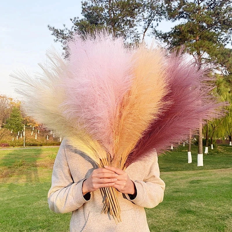 45cm Reed 10Pcs Dried Flower Natural Pampas Grass Black Christmas Decoration Phragmites Wedding Home Decor