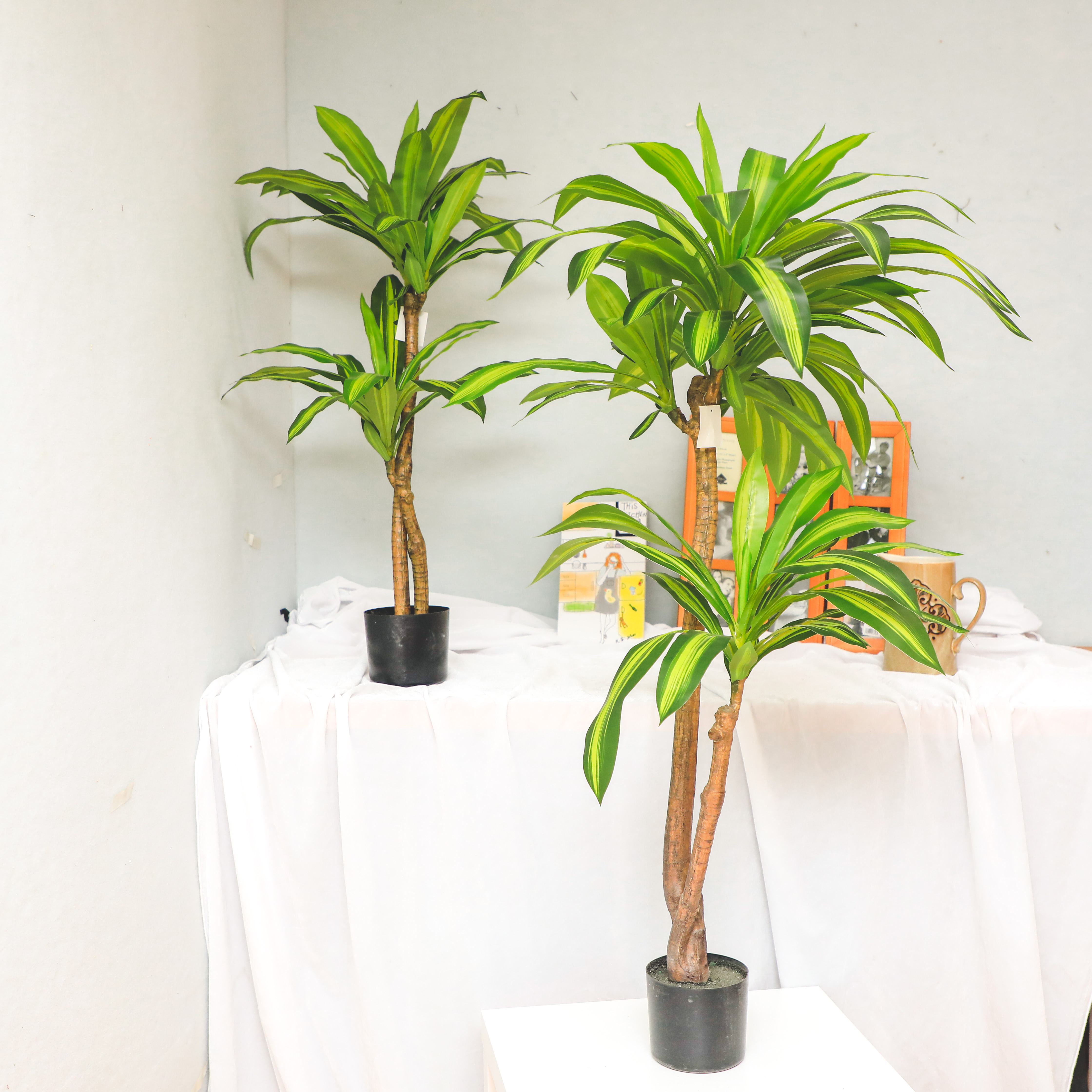 Wholesale Garden Suppliers Dracena Leaf Plant Tree Artificial Marginata Tropical Dracena Artificial flowers