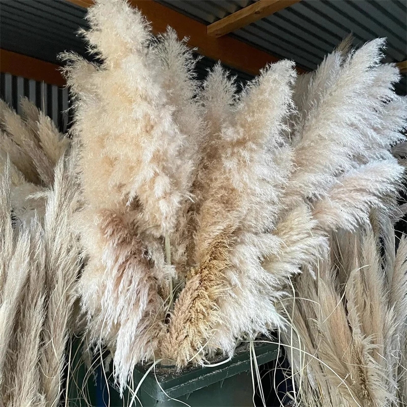 Large Pampas Grass Dried Artificial flowers Fluffy Natural Dried Home Boho Decor Wedding Artificial flowers Decoration