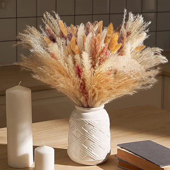 Dried Pampas Grass Decor Dried Flowers Arrangements Wedding Decor Fluffy Bouquet Home Natural Beige White Pampas Grass