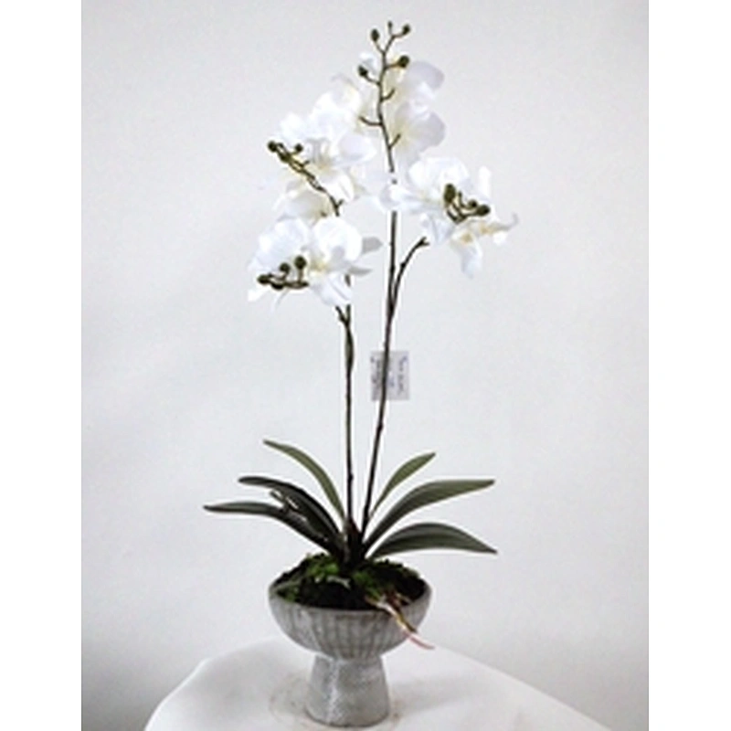 Office Wedding Decoration Spring Artificial Orchid Flower Silky Way Real Touch Latex Artificial Orchid Flower For Home