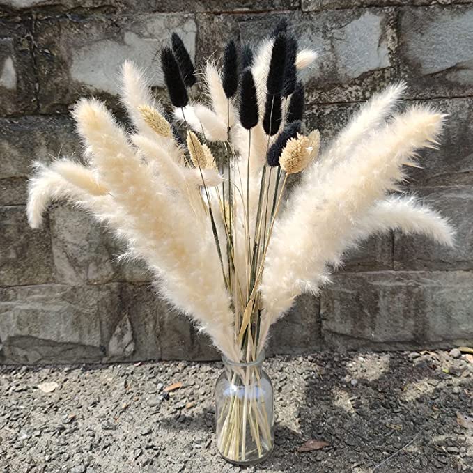 High quality Home Decor Black White Bunny Tail Pampas Grass Natural Fluffy Pampas Grass Wedding Outdoor Decorations