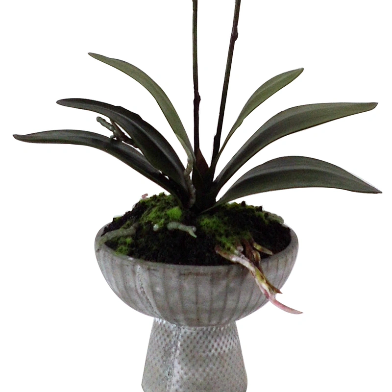 Office Wedding Decoration Spring Artificial Orchid Flower Silky Way Real Touch Latex Artificial Orchid Flower For Home