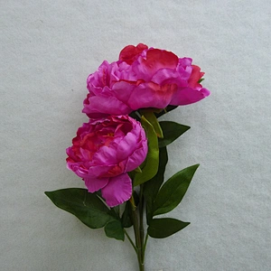 Popular Artificial Spring cream pink  dahlia 180cm Champagne hydrangea Flowers Leaves Artificial Green Flowers