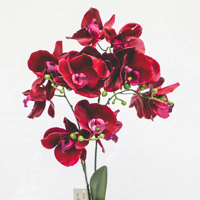 Factory Supply Artificial Flowers Faux Water Cymbidium Butterfly Orchid For Home Decoration