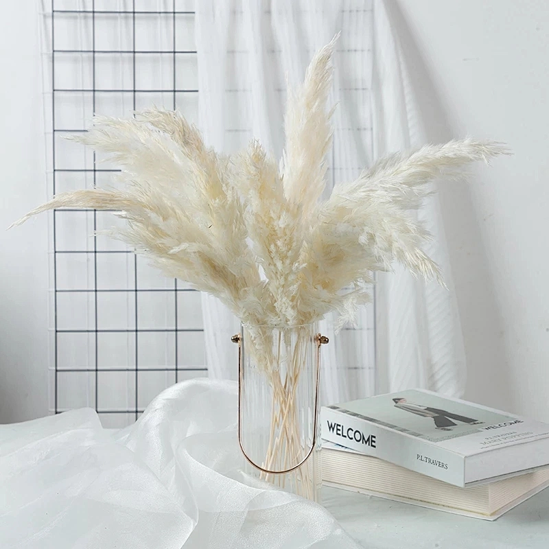 10pcs Real Bulrush Natural Dried Flowers Plants Small Dry Flower for Decoration Pampas Grass In Bouquet Wedding Home Decor