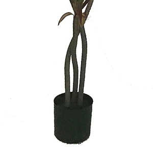 Garden Artificial dracaena plant home artificial bonsai tree artificial trees and dracaena tree plants