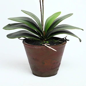 High Quality Real Touch Artificial faux water cymbidium Faux Water Butterfly Orchid For Home Decoration