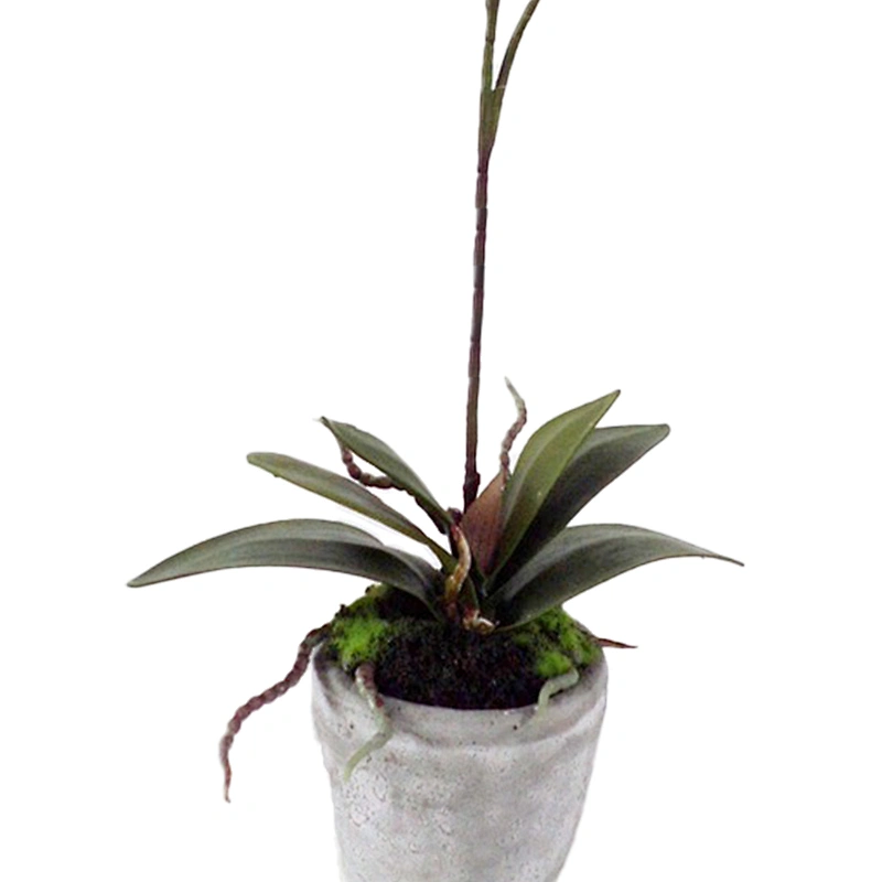 Home office decorations home office decorations orchid flower real touch pe foam plastic orchid flower with pot
