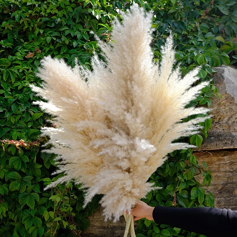 1Pc Artificial Pampas Grass Flowers Dried Small Reed Simulation Plants Wedding Party Home Decoration Rabbit Tail Grass