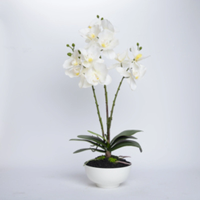 Home Wedding Decor White Artificial Flowers Cymbidium Orchid Faux Water Butterfly Orchid