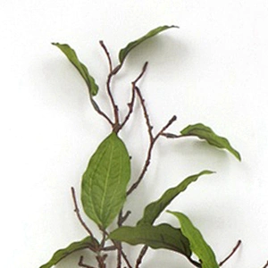 High quality good supplier Latest Fashion Hand Wrapped Floral 104cm Green Flowers Leaves Artificial Flowers For Sale