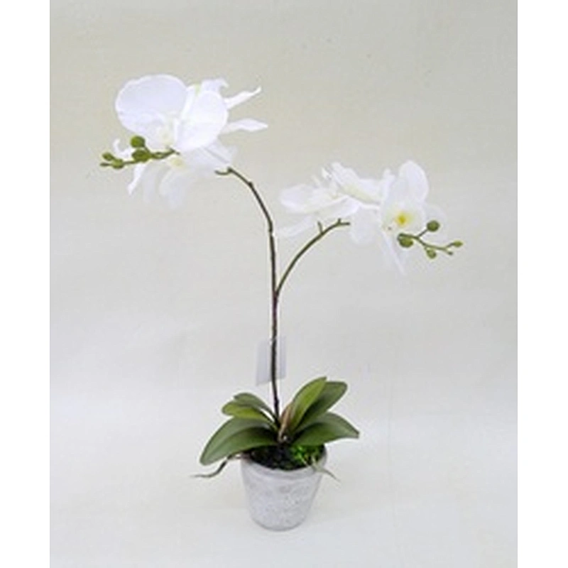 Wholesale outdoor wedding decoration orchid flower real touch orchid artificial flower for home