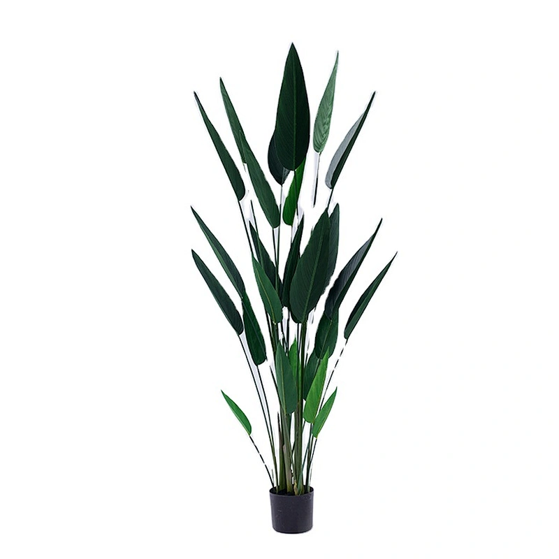 Hot sale and popular wholesale artificial  Strelitzia plant ornamental plants