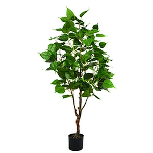 Factory Direct Sale Simulation Landscaping Russian Type Decorative White Birch Trees