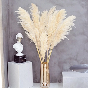 80CM Natural Pampas Grass Large Real Dried Artificial Flower Bouquet Decor for Home Party Wedding Decoration Artificial Flower
