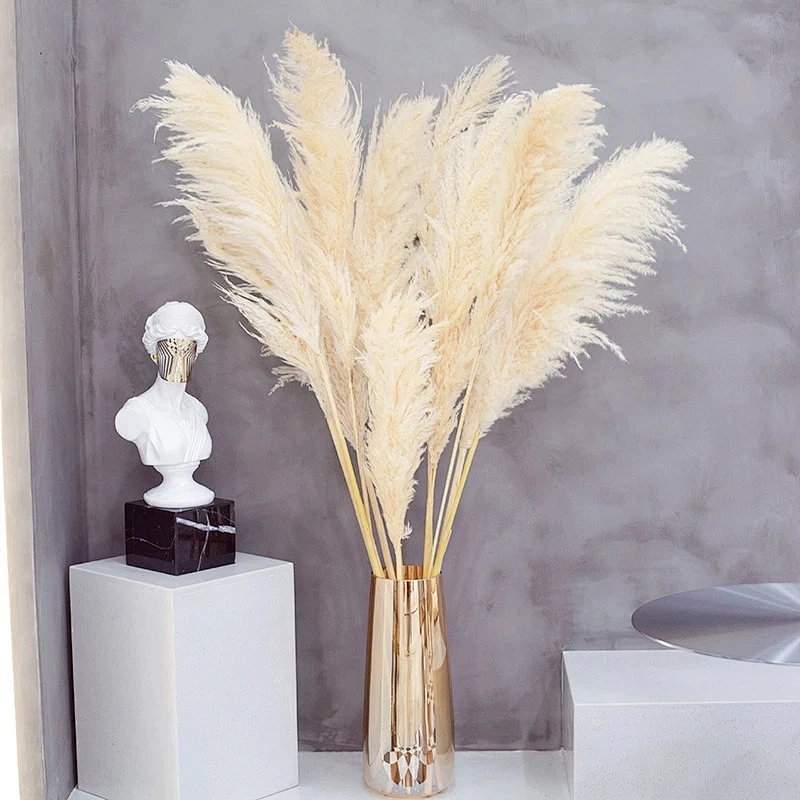 80CM Natural Pampas Grass Large Real Dried Artificial Flower Bouquet Decor for Home Party Wedding Decoration Artificial Flower