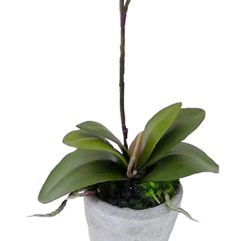 Wholesale outdoor wedding decoration orchid flower real touch orchid artificial flower for home