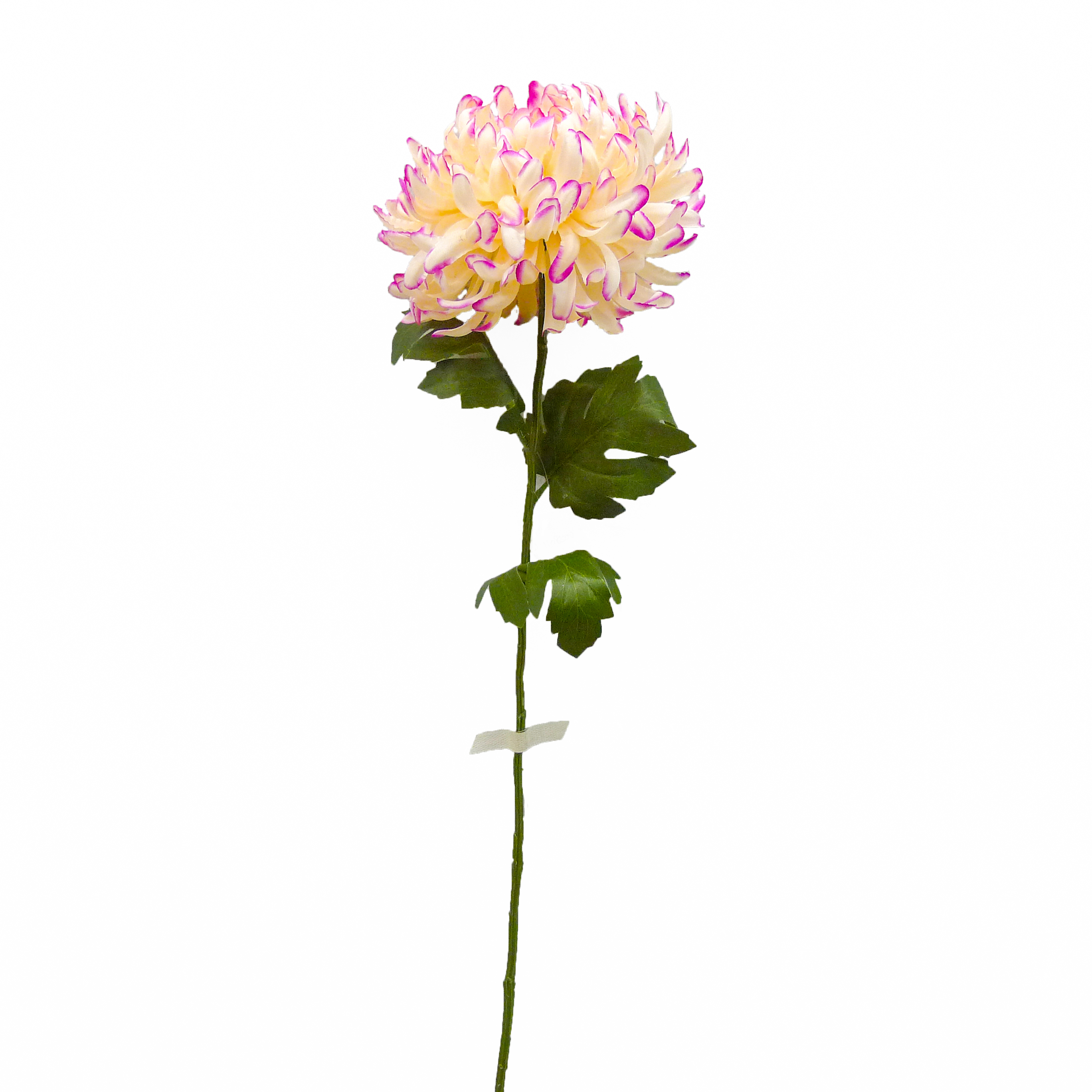 High Quality Affordable Wholesale Pink light pink dahlia Flowers 185cm Autumn Home Decor Artificial Autumn Wheat