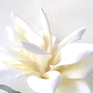 Popular Used Manufacturing Home Gifts And Decoration Foam Flowers Floral Foam Plant