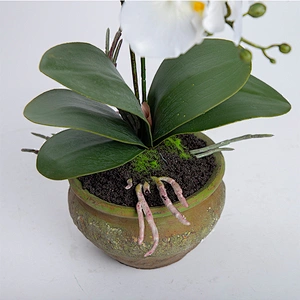 China Wholesale Real Touch Wedding Artificial Orchid Pot Assortment Cymbidium For Indoor Decoration