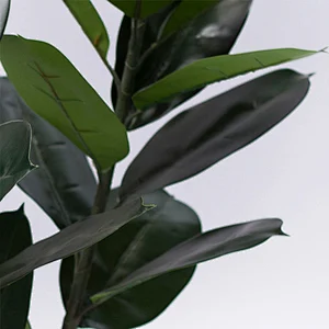 Most Popular Factory Supply fabric artificial rubber tree leaves artificial greenery rubber plant