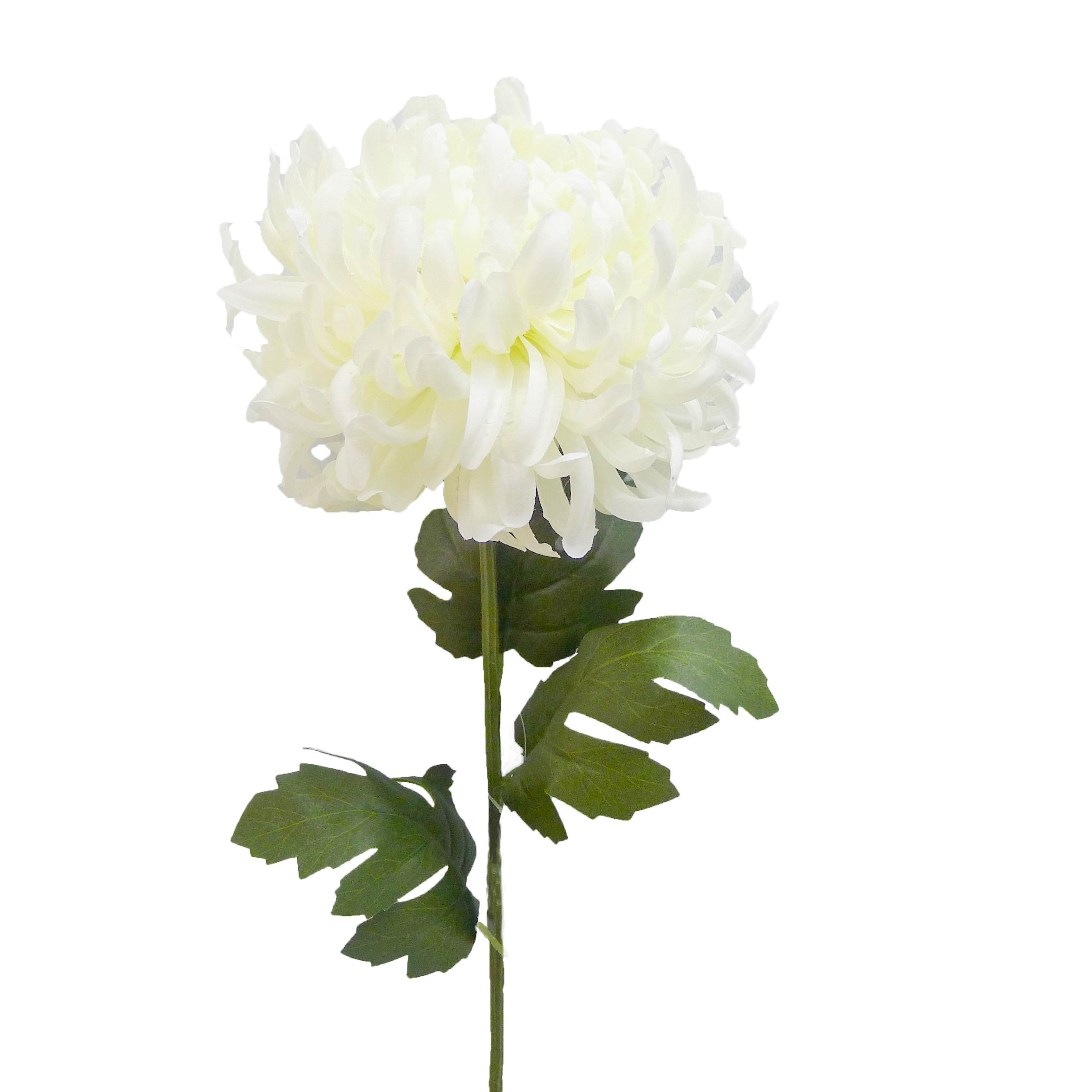 Good Quality And Reasonable Price Magnolia Artificial Leaves 180cm peony Flowers Combined carton packing Arts And Crafts